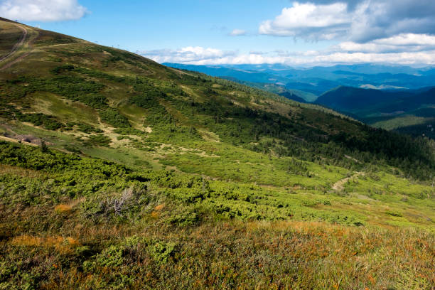 istock Peaks and slopes of Carpathian mountains 867305336