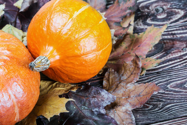 istock ripe pumpkin in autumn maple leaves 867314814