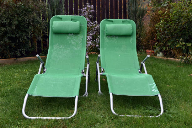 istock Green deck chairs in the garden. Relaxing concept 867315546