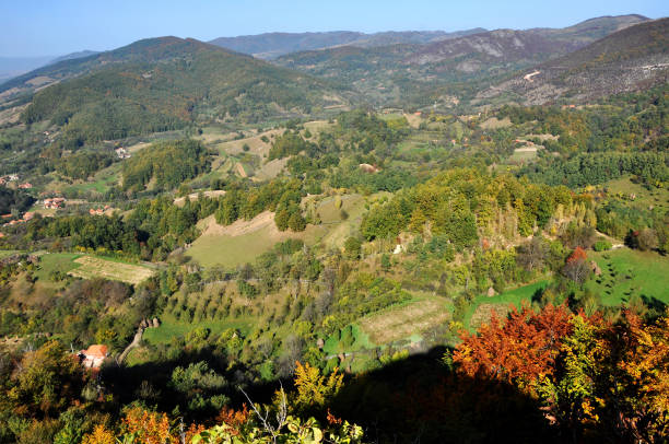 istock Mountain autumn landscape with colorful forest 867319450
