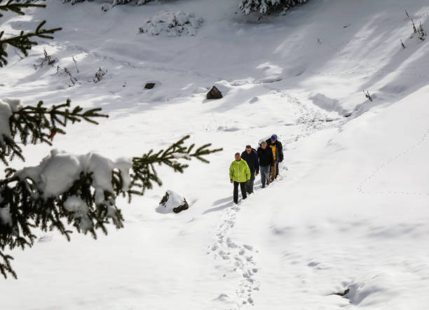 istock Group of hikers in the winter mountains 867321800