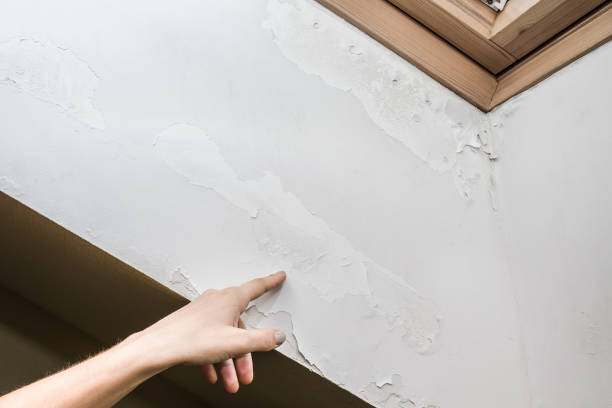 여자의 손 손가락 초라한 벽을 가리키는 습도 문제로 인해 지붕 창 근처 결함. - plasterboard plaster repairing putty 뉴스 사진 이미지