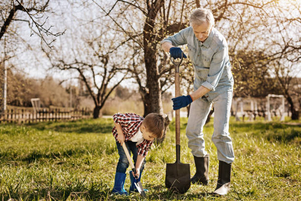 istock Serious senior man holding big shovel 867337616