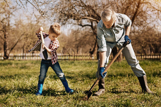 istock Two male persons preparing soil for planting 867337684