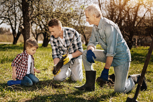 istock Three generation of male that planting sapling 867337838