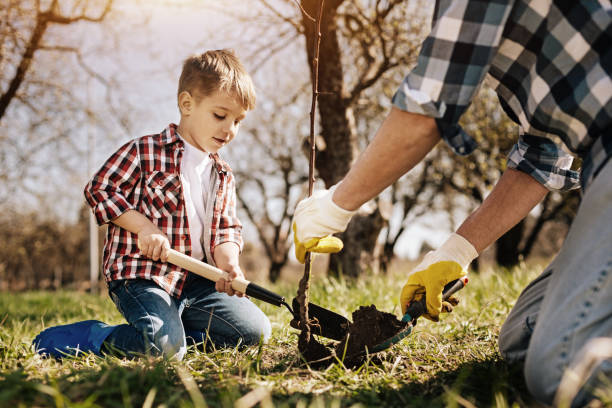 istock Serious boy helping his daddy in the garden 867338796
