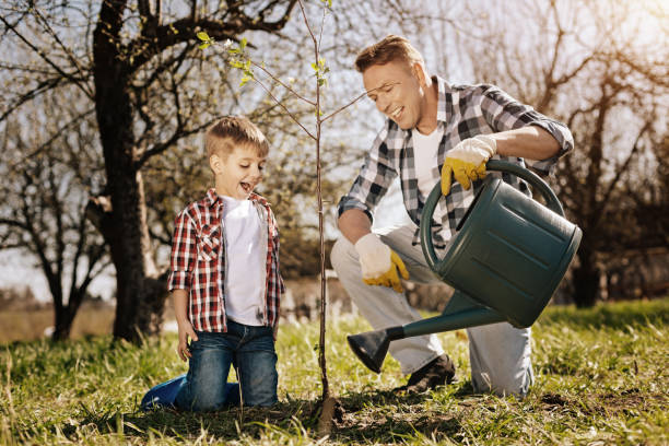 istock Little boy looking at young plant 867339302