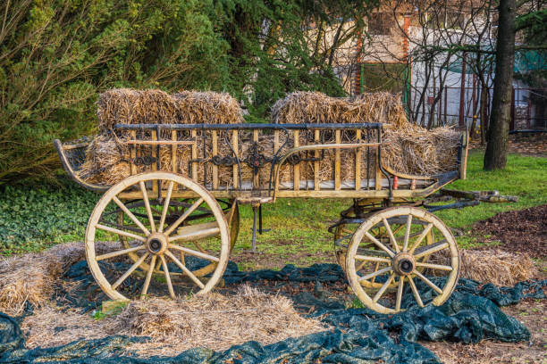 istock oxcart and straw 867349154