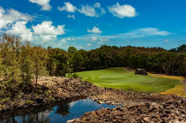 Beautiful bird's-eye view on a golf course green on Mauritius