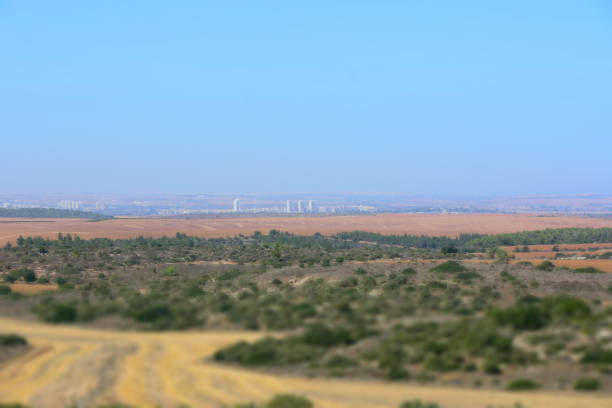 istock Trail view in Israel 867352606