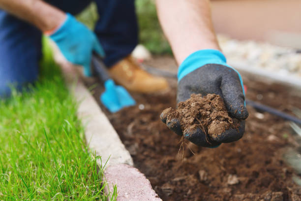 istock Close up from a man's hand holding soil 867356130