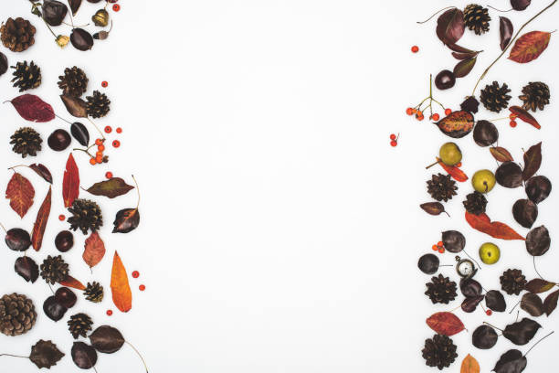 istock autumn leaves and pine cones 867359716