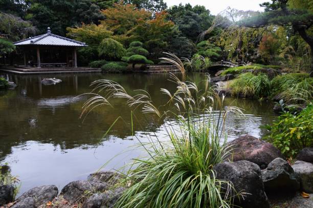 istock Fall of Japanese-style garden 867360028