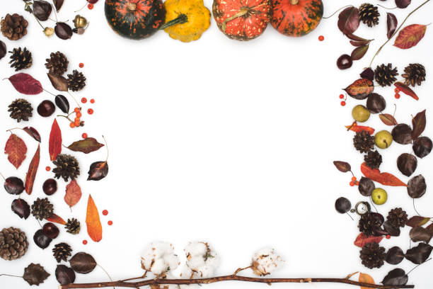 istock dried leaves and pumpkins 867360184