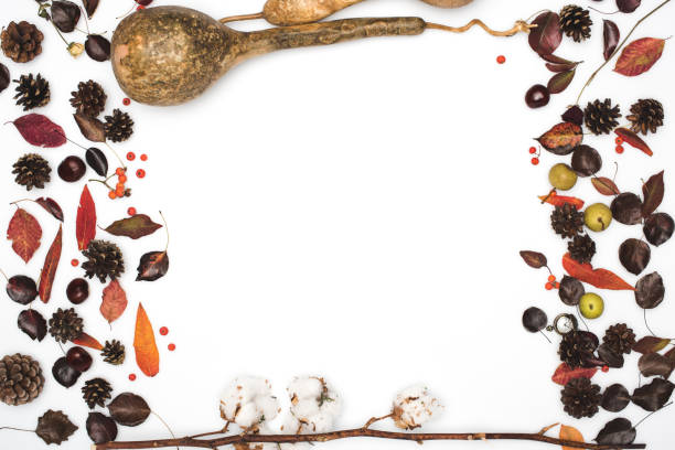dried autumn leaves and pumpkins