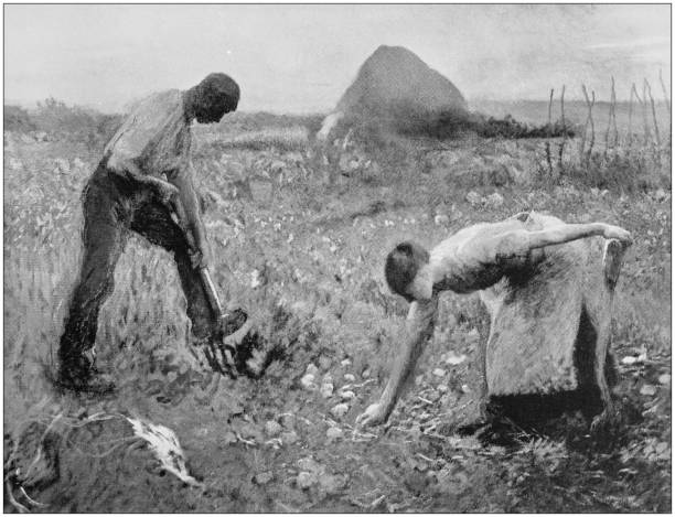istock Antique photo of paintings: Farmers 867363288