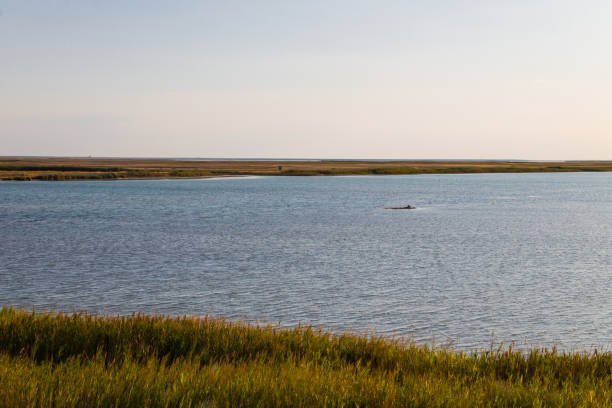 istock View on the Sivash lake, Ukraine 867363926