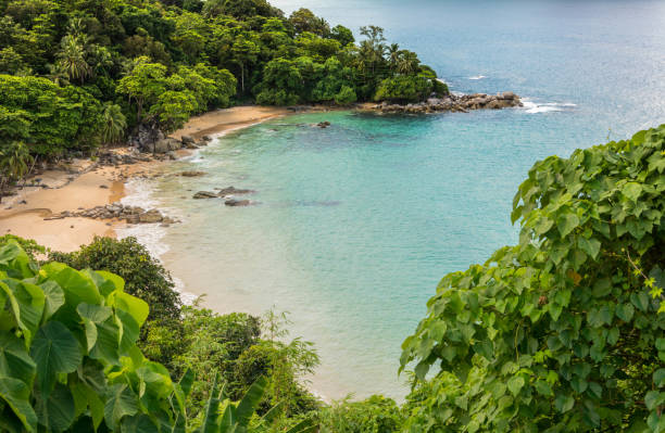 istock Lamsing Beach Phuket island in Thailand 867372502
