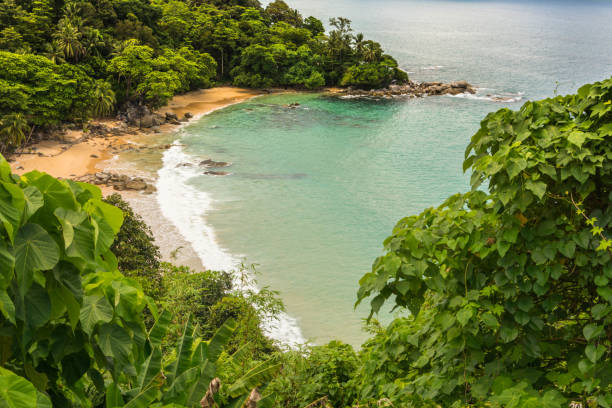 istock Lamsing Beach Phuket island in Thailand 867372530