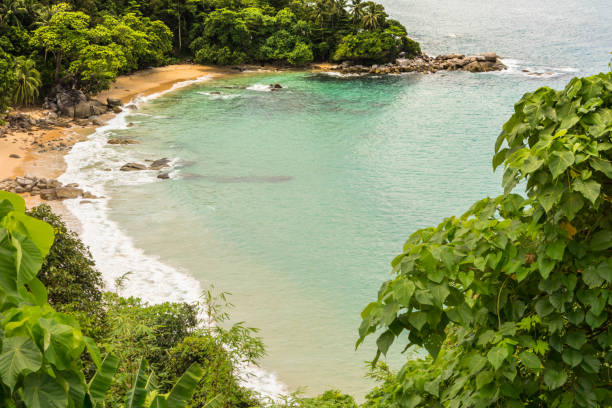 istock Lamsing Beach Phuket island in Thailand 867372542
