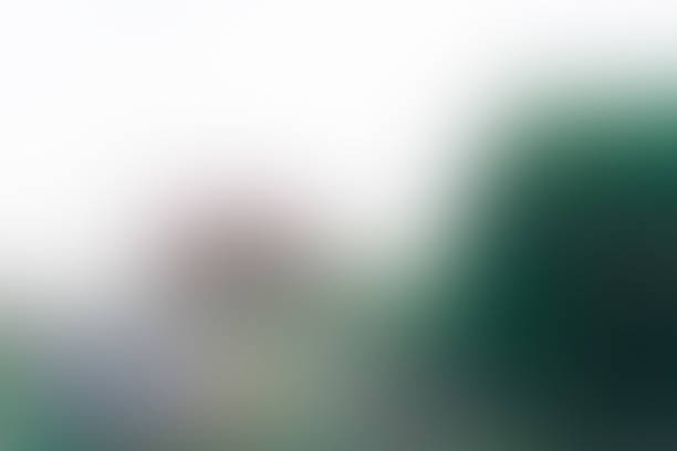 istock Defocused autumn background Beautiful nature trees forest and meadow wallpaper 867377122