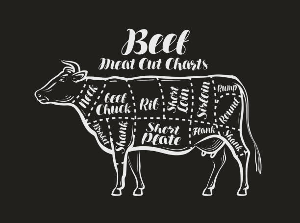 istock Meat cut charts. Cow, beef concept. Menu restaurant or butcher shop. Vector illustration 867381146