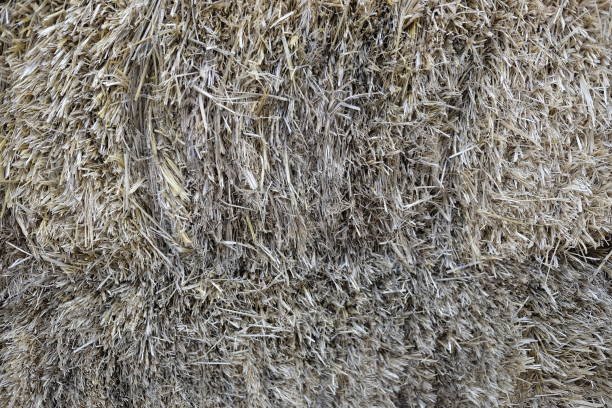 istock material details for straw house 867381458