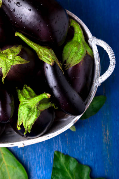 istock Fresh eggplant in grey basket on blue wooden table.Rustic background. Top view. Copy space. Vegan vegetable. 867382752