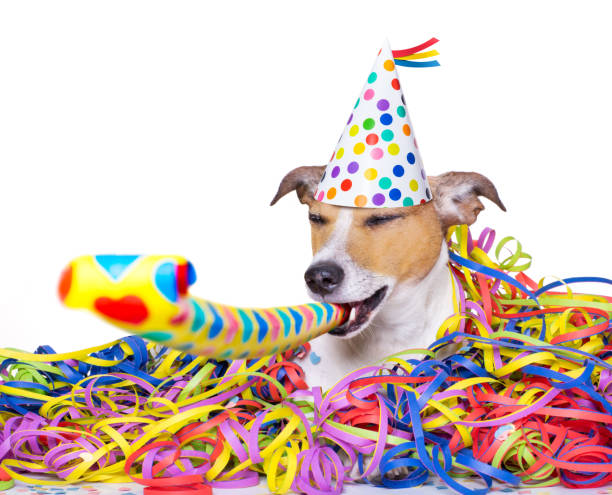 istock happy new year dog celeberation 867387234