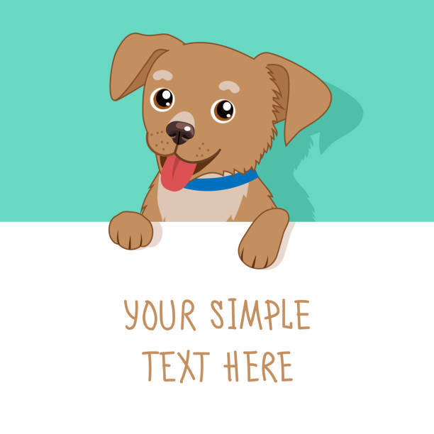 ilustrações de stock, clip art, desenhos animados e ícones de nice pet. vector cute dog holding a white blank board, card or banner. - birthday card dog birthday animal