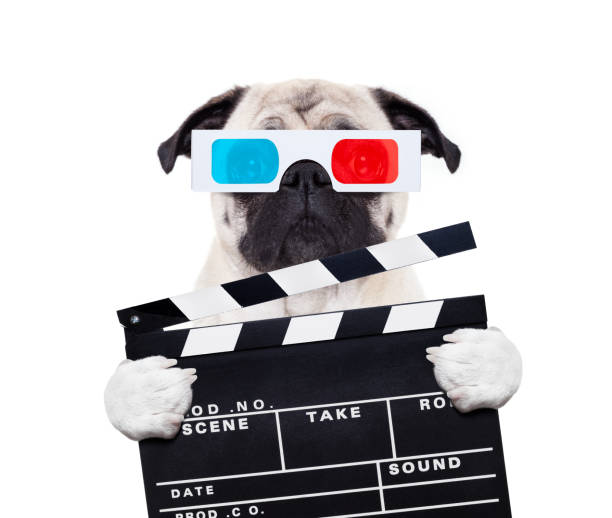 istock dog watching the  movies 867390168