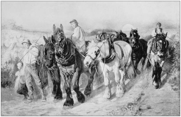 istock Antique photo of paintings: Farmers 867390174