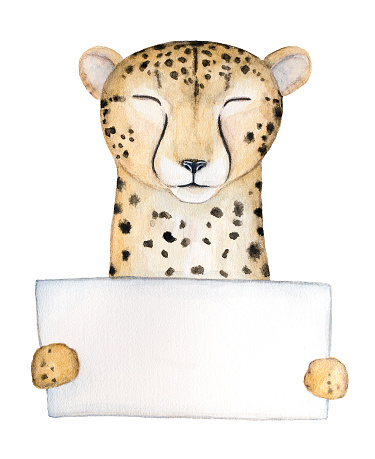 Cute Smiling Happy Cheetah The Fastest Land Animal On Earth Holds A Clean  Sheet Of Paper Place For Your Text Closed Eyes Of Pleasure Stock  Illustration - Download Image Now - iStock