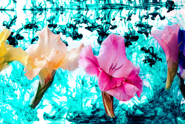 istock Gladiolus flowers under water with blue ink. 867395328