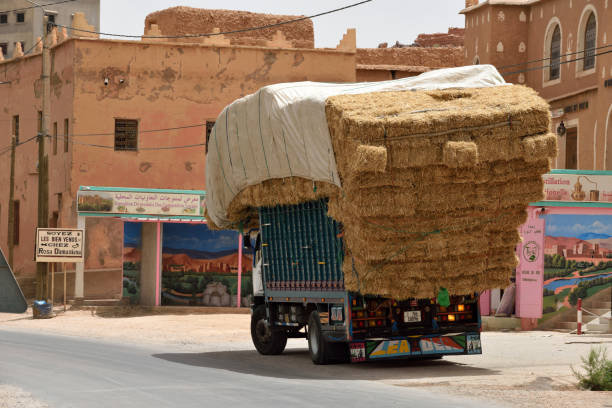 MOROCCO - AUGUST 02: Overloaded truck staying on road, August 02, 2015 in Atlas Mountains, Morocco. Road in Atlas Mountains very popular tourist route in central Morocco.