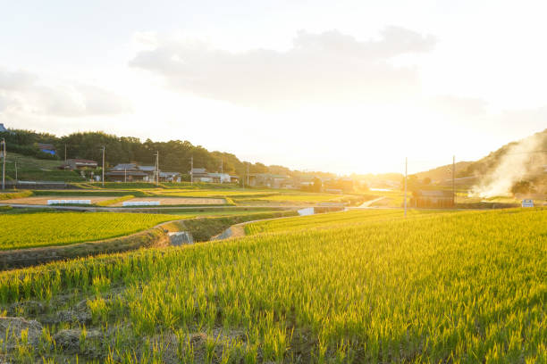 istock agricultural community in Japan 867398278
