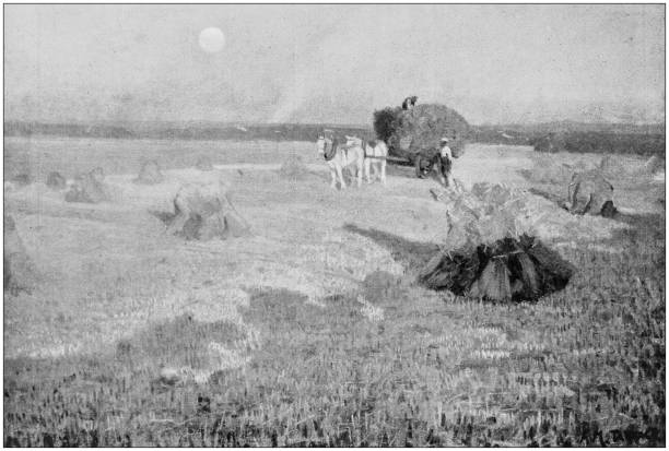 istock Antique photo of paintings: Landscape 867398686