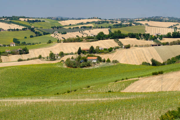istock Summer landscape in Marches (Italy) near Ostra 867399380