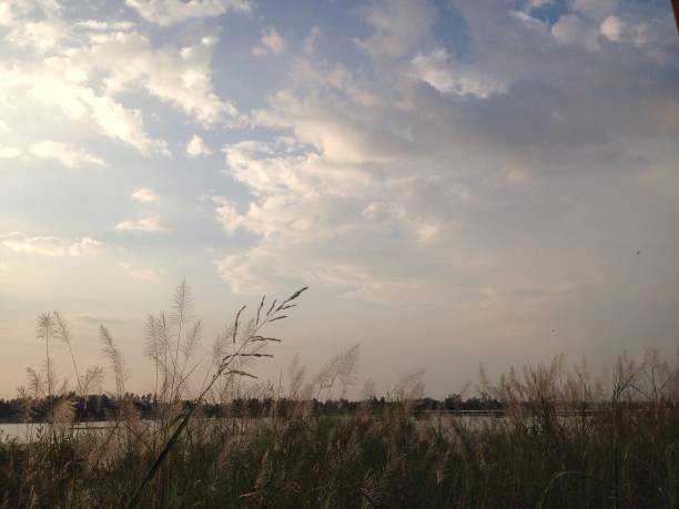 istock Landscape of grass, lake, cloud and sky 867401462