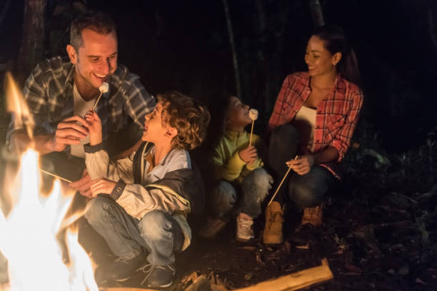 istock Family camping and eating marshmallows by a bonfire 867401854