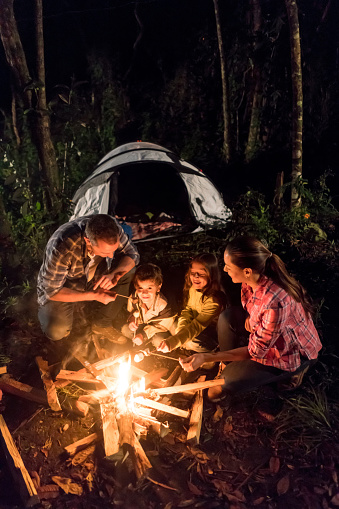 Happy family camping and melting marshmallows on a bonfire at nighttime - lifestyle concepts