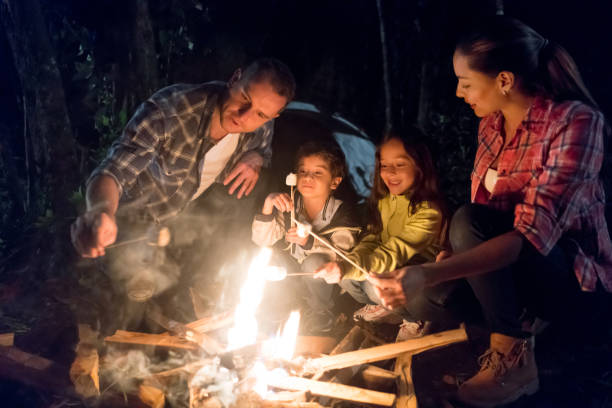 istock Happy family eating marshmallows by a bonfire 867402048
