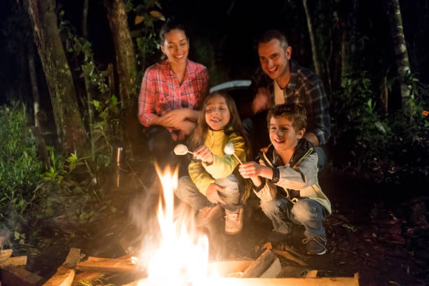 istock Happy family camping and eating marshmallows by a bonfire 867402132