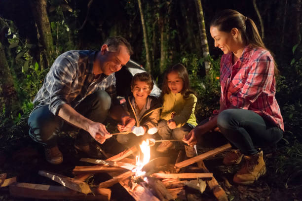 istock Happy family camping and melting marshmallows on a bonfire 867402182