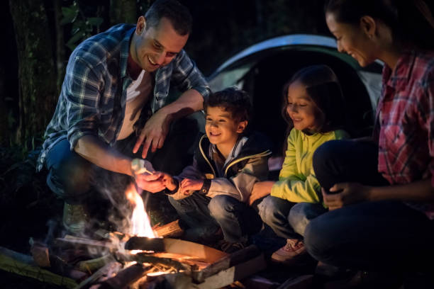 istock Family camping and melting marshmallows on a bonfire 867402254