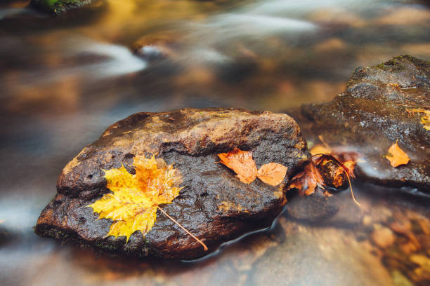 istock river Kamenice in autumn, Bohemian Switzerland 867409152