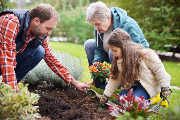 istock Family gardening together 867412482