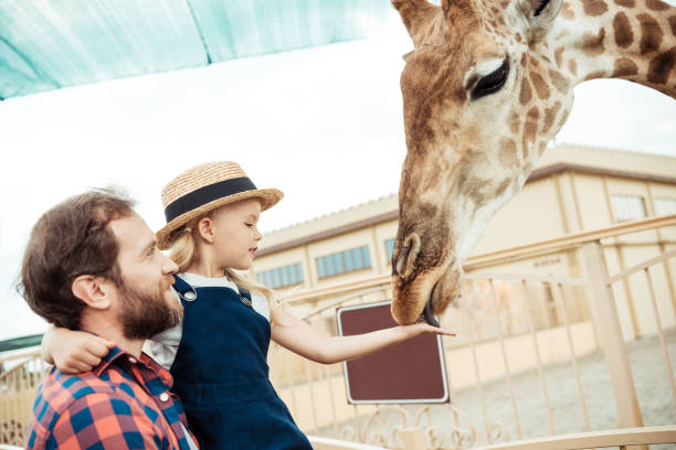 istock family feeding giraffe in zoo 867412492