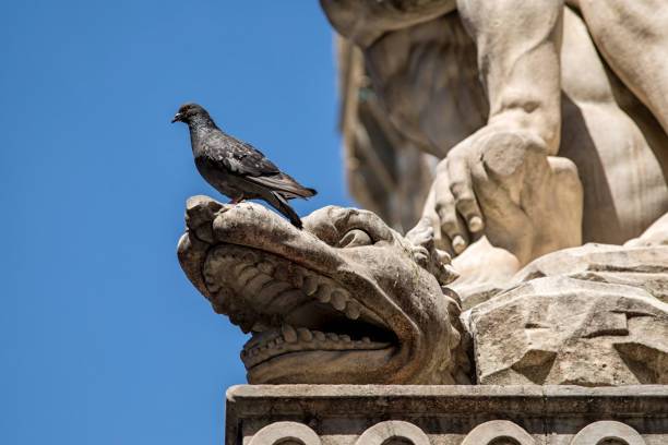 istock Statue in Florence in Italy, made by Michelangelo 867412560