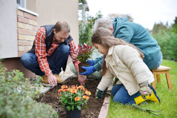 istock Family gardening together 867412576
